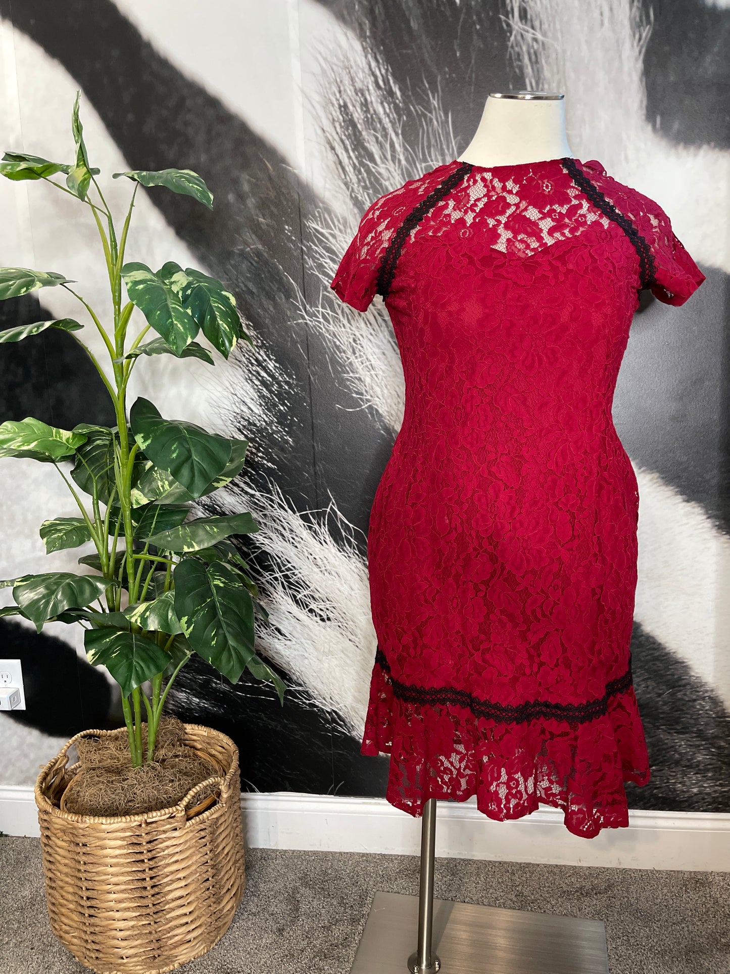 Lace Lady Flare Dress