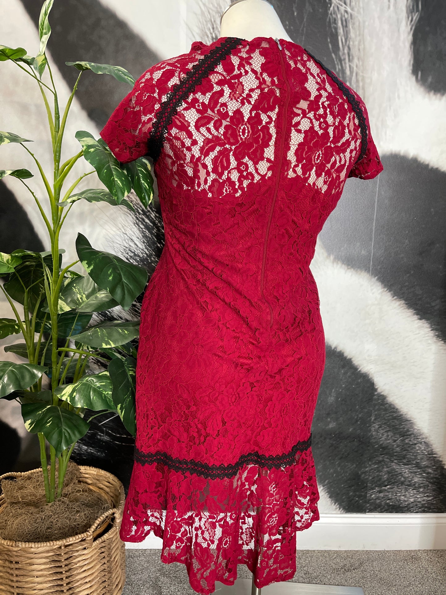 Lace Lady Flare Dress