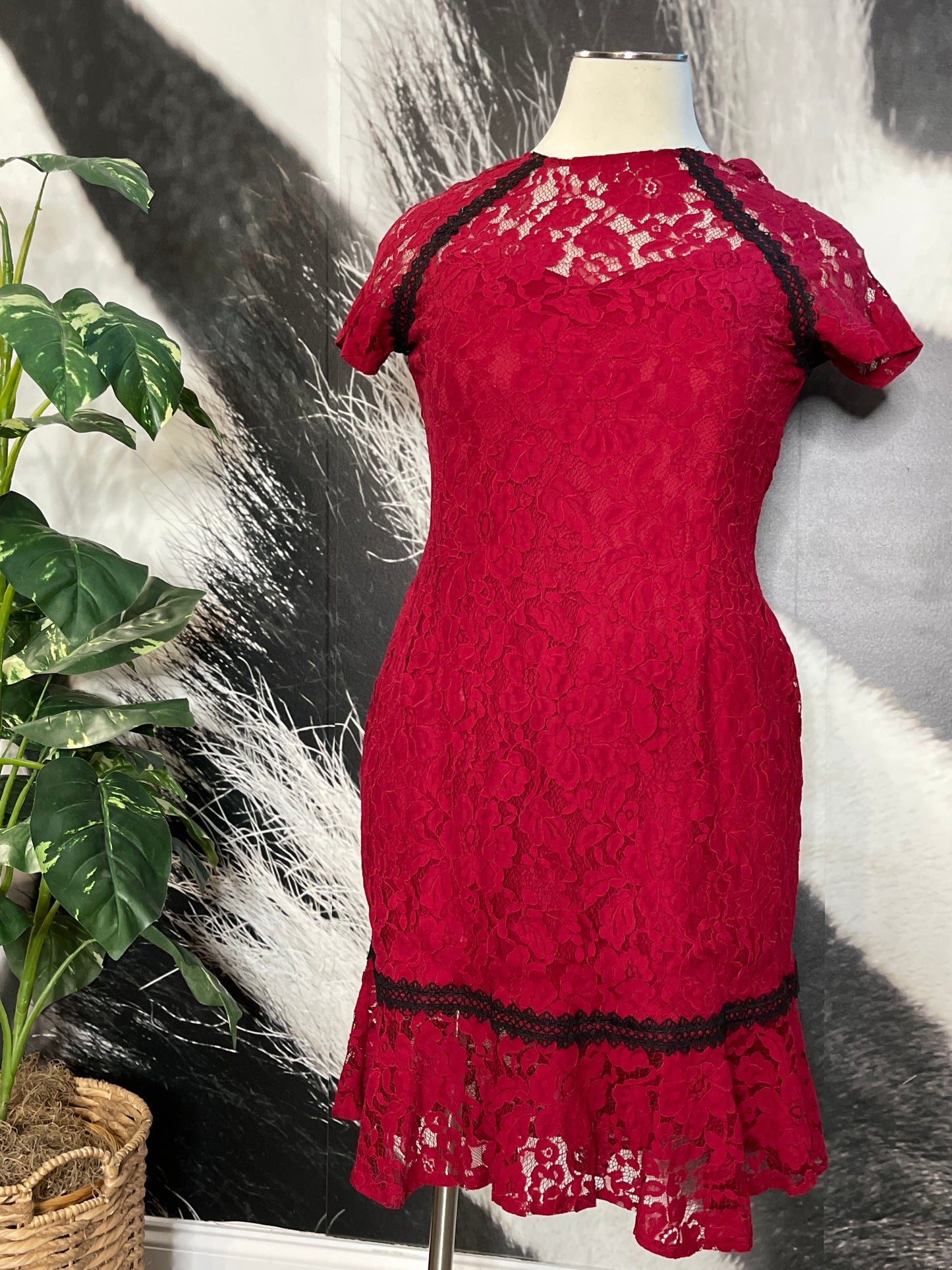 Lace Lady Flare Dress