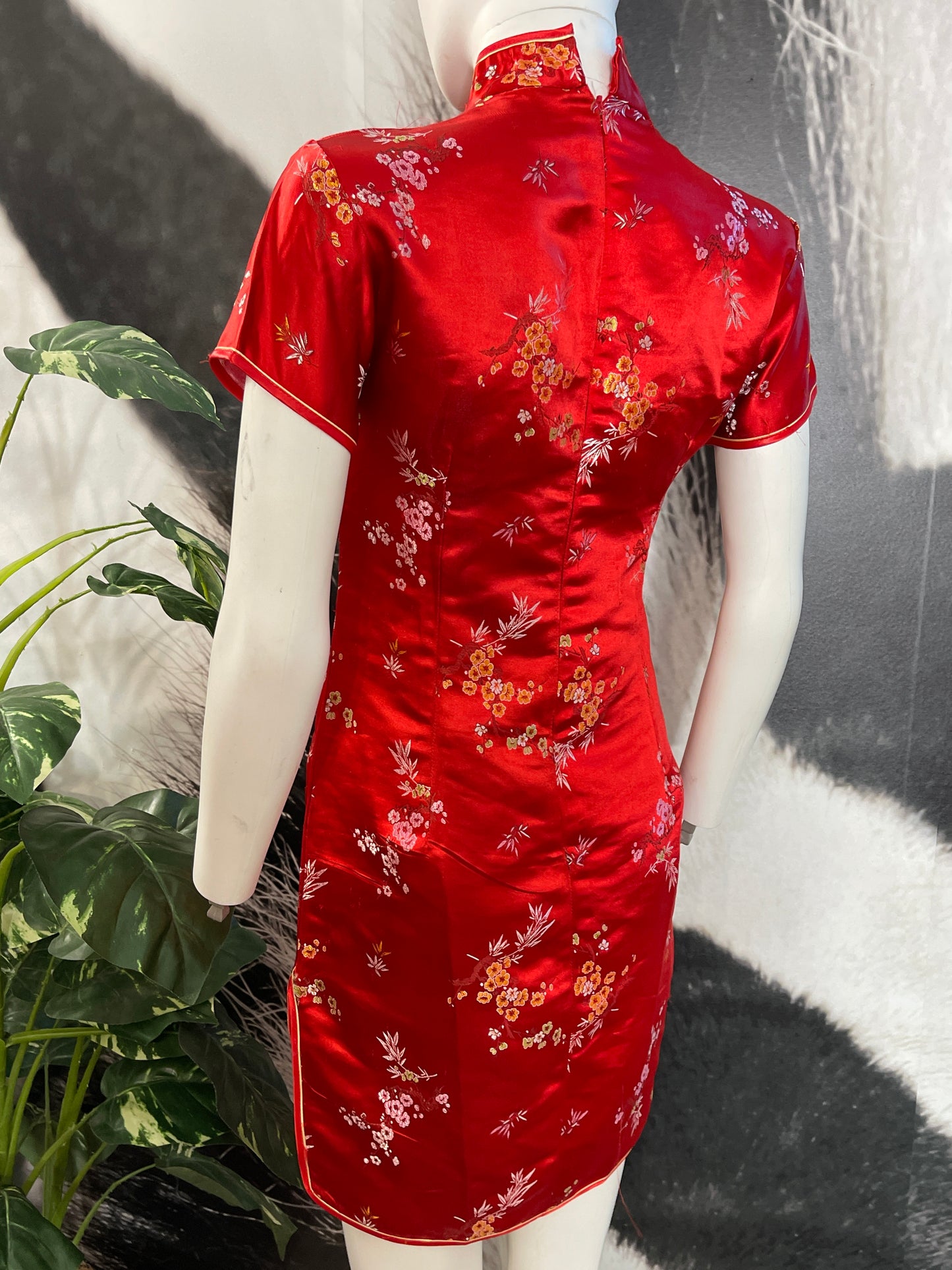 Oriental Sass Dress