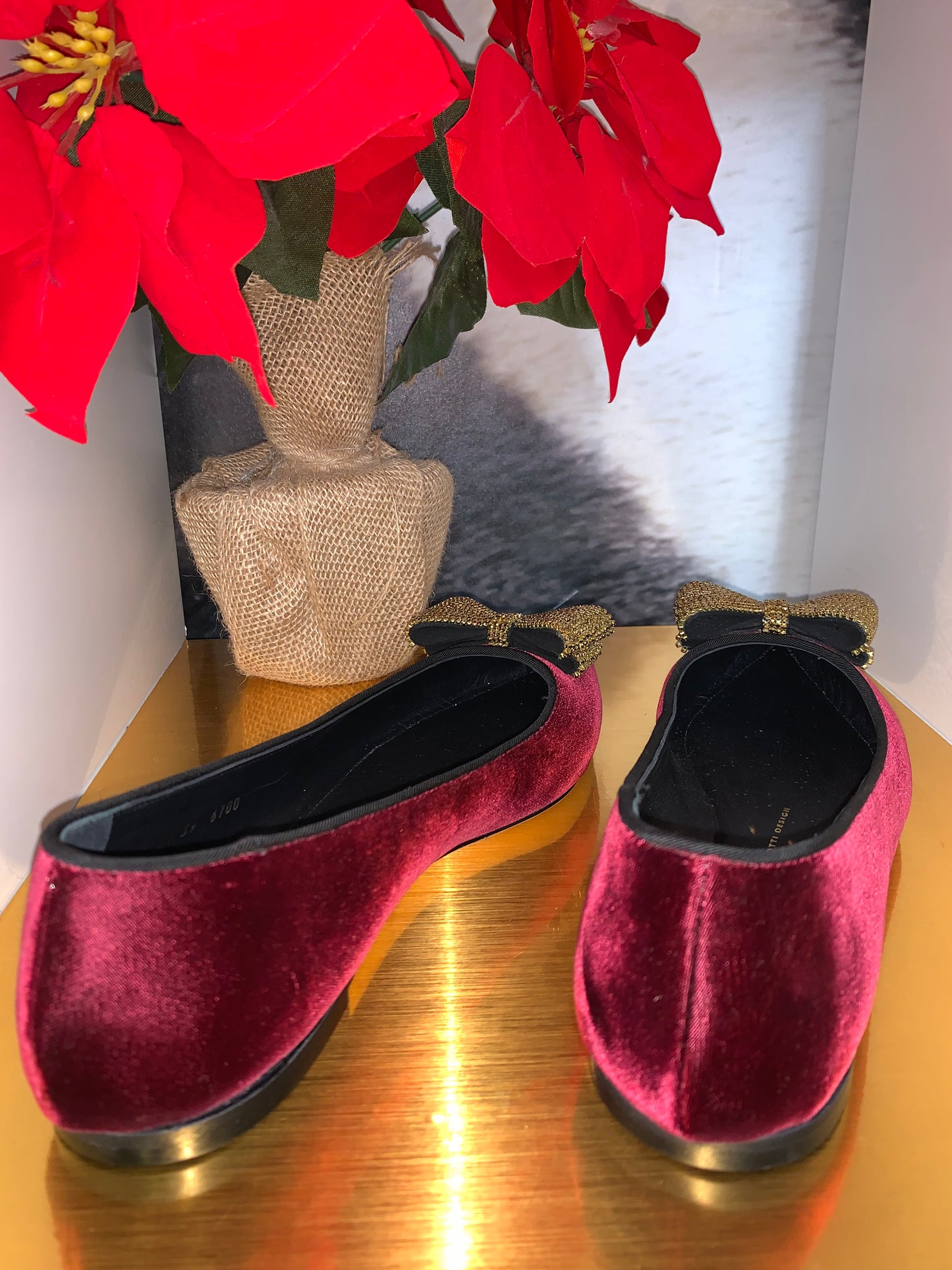 Giuseppe Zanotti Velvet Ballet Flats